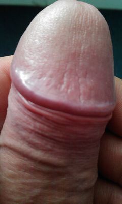 IMAG0944.1.jpg