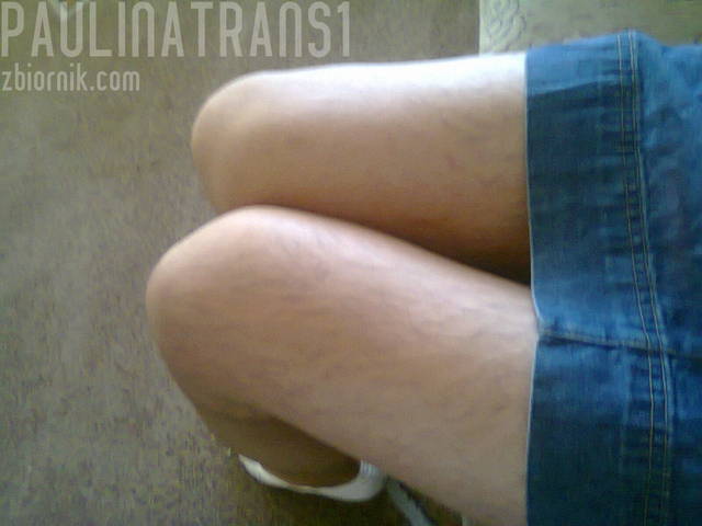 zdjęcie0197.jpg - paulinatrans1