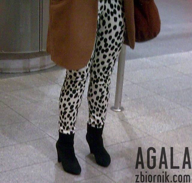 Cmta00L.jpg - AGALA