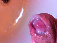 IMG_0505.JPG