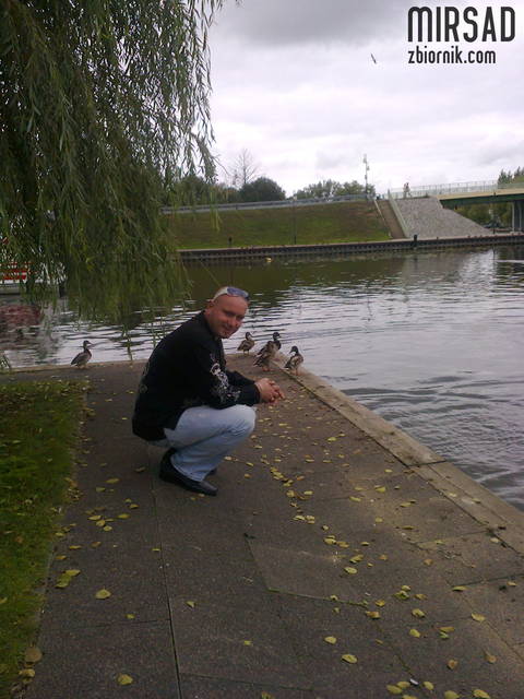 Obraz 249.jpg - mirsad