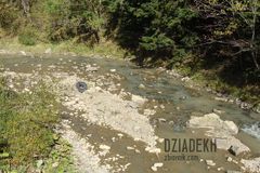 W górskich potokach można znaleźć prawie wszystko