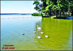 ....do zobaczenia Kochani.....;)