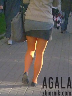 Staga017kol.jpg