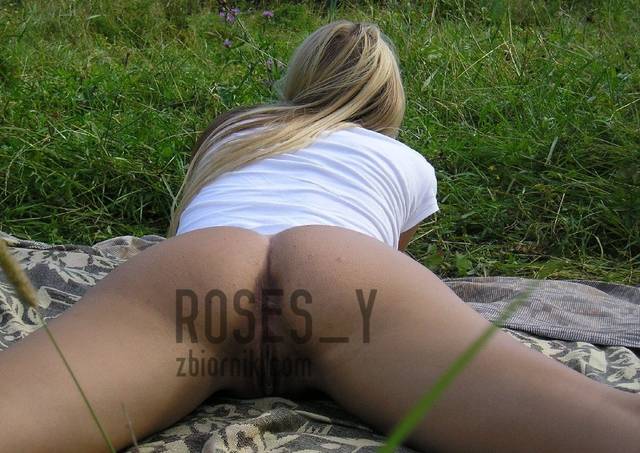 Roses_y