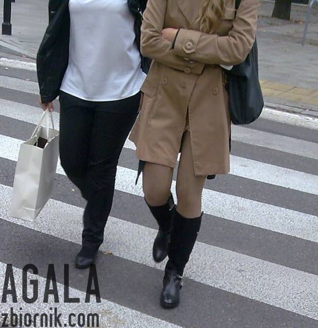 Pjme092v.jpg - AGALA