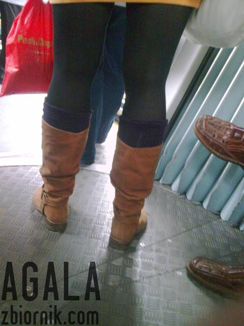Pjm066cz.jpg - AGALA