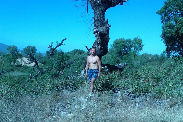 camino 300.jpg - rafaello765