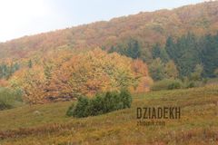 Lasy przystroiły się w piękne kolory