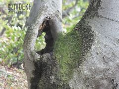 Duże pole do popisu dla miłośników dziur wszelakich