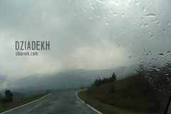 Powrót w deszczu z podkulonym ogonem