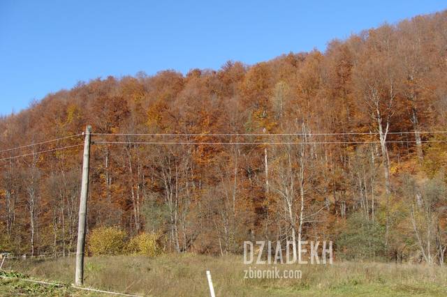"Wszystko czerwone" - dziadekh