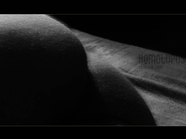 IMG_2210.jpg - homolupus