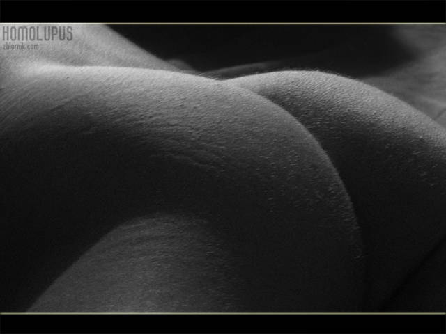 IMG_2213.jpg - homolupus