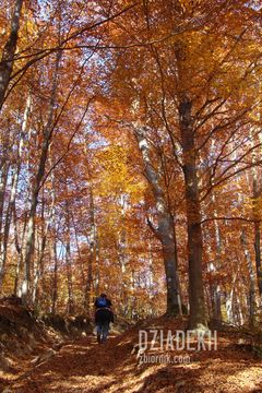 Ciężko się idzie pod górę, ale widoki tego warte.