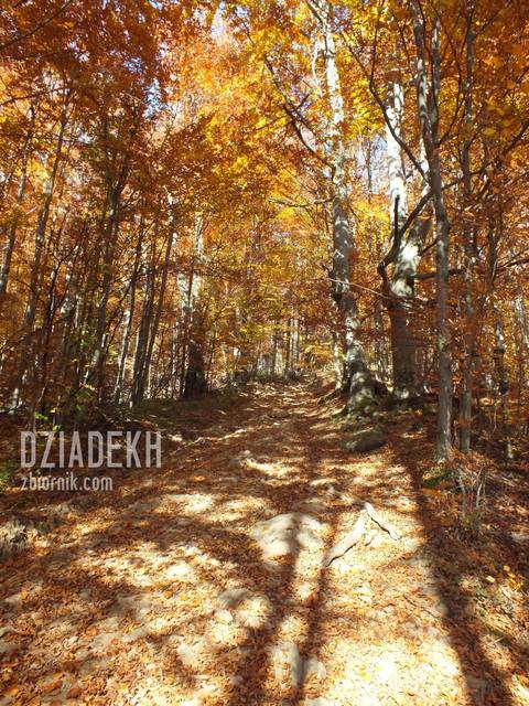 Trudno się powstrzymać od pstrykania. - dziadekh