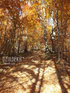 Trudno się powstrzymać od pstrykania.