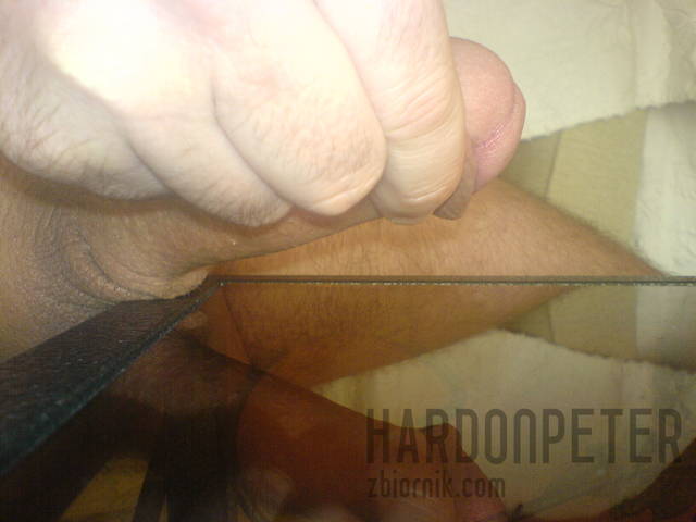 DSC02592.JPG - hardonpeter