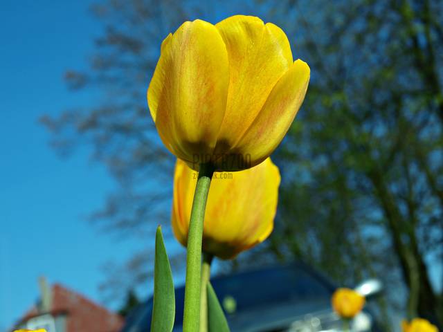 P4280578.JPG - Piotr700