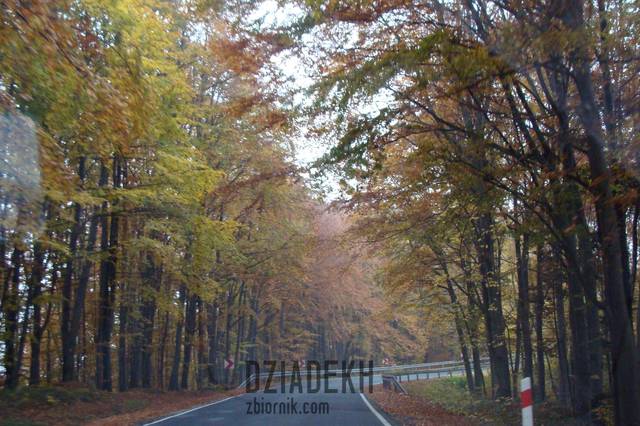 Jesienna szosa - dziadekh