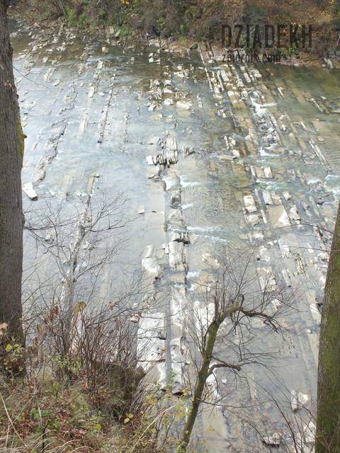 Chmielowe Kaskady - dziadekh