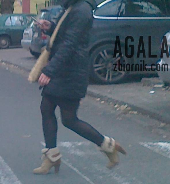 131120121730cz.jpg - AGALA