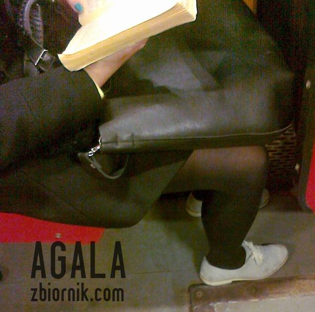 151120121754cz.jpg - AGALA