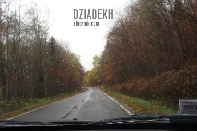 Niestety już coraz mniej liści na drzewach - dziadekh