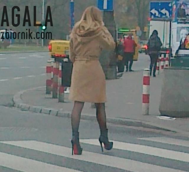 161120121767cz.jpg - AGALA