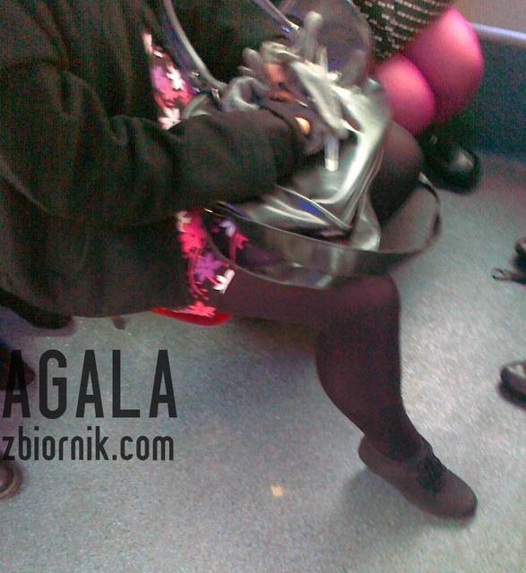 191120121804cz.jpg - AGALA