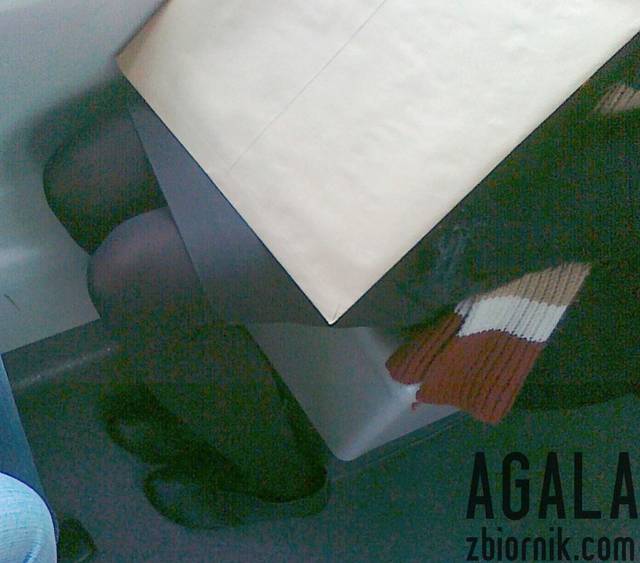 211120121824cz.jpg - AGALA