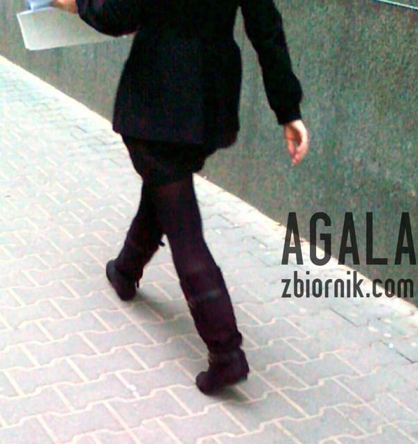 221120121864cz.jpg - AGALA