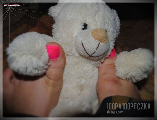 Tortury Misia 11 - 100pa100peczka