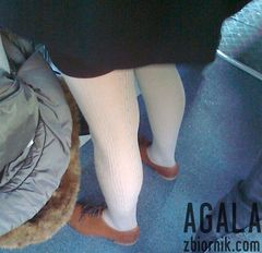 271120122039odj.jpg