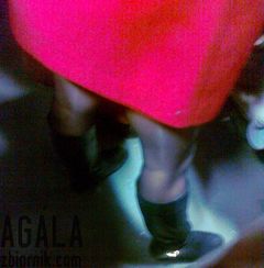 281120122098cz.jpg