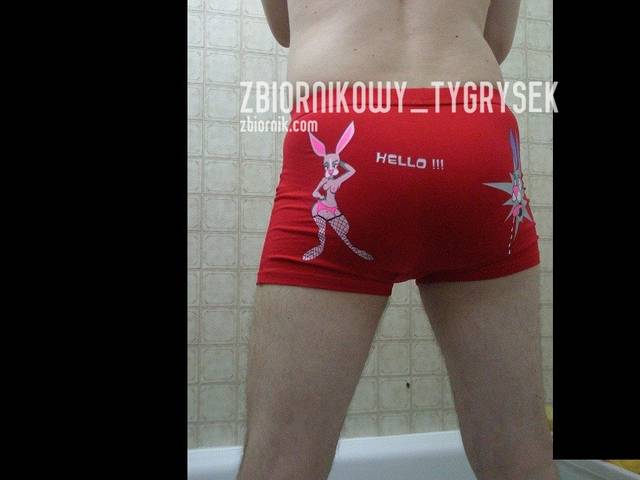 Ja - zbiornikowy_tygrysek