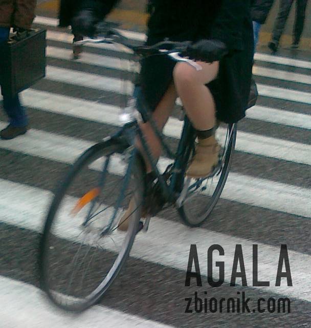 301120122182kl.jpg - AGALA