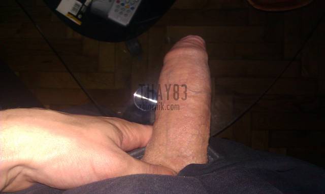 thay83
