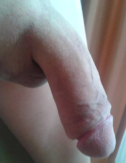 20121203_102850.jpg - Delikatny27