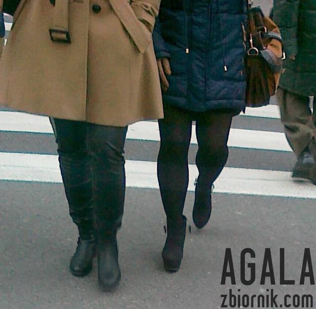 041220122315cz.jpg - AGALA