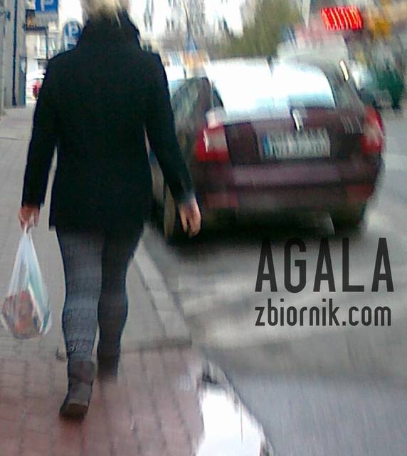 041220122309L.jpg - AGALA