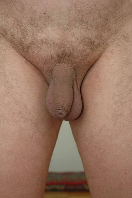 DSC_0006.jpg - kodomo23