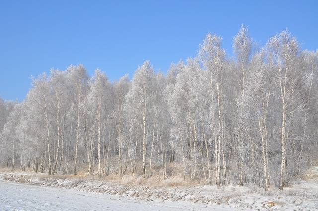 PRZYSZŁA ZIMA  - AsJa