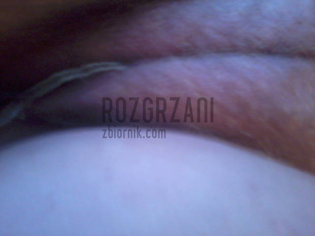 taponik - rozgrzani