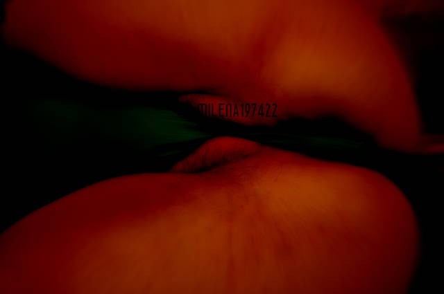 _DSC0026.JPG - milena197422