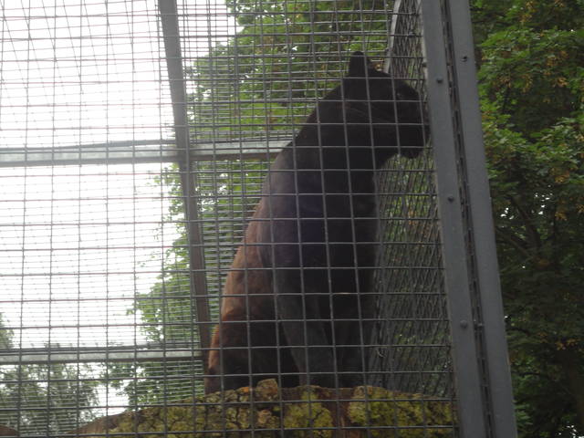 DSC03038.JPG - mmmmm22