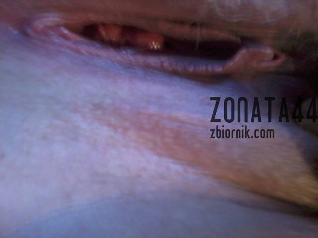 cipka - zonata44