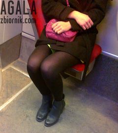 271220122535cz.jpg