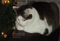 Kiedy wreszcie będzie ta kolacja