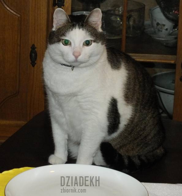 Jestem pierwszy przy stole. - dziadekh